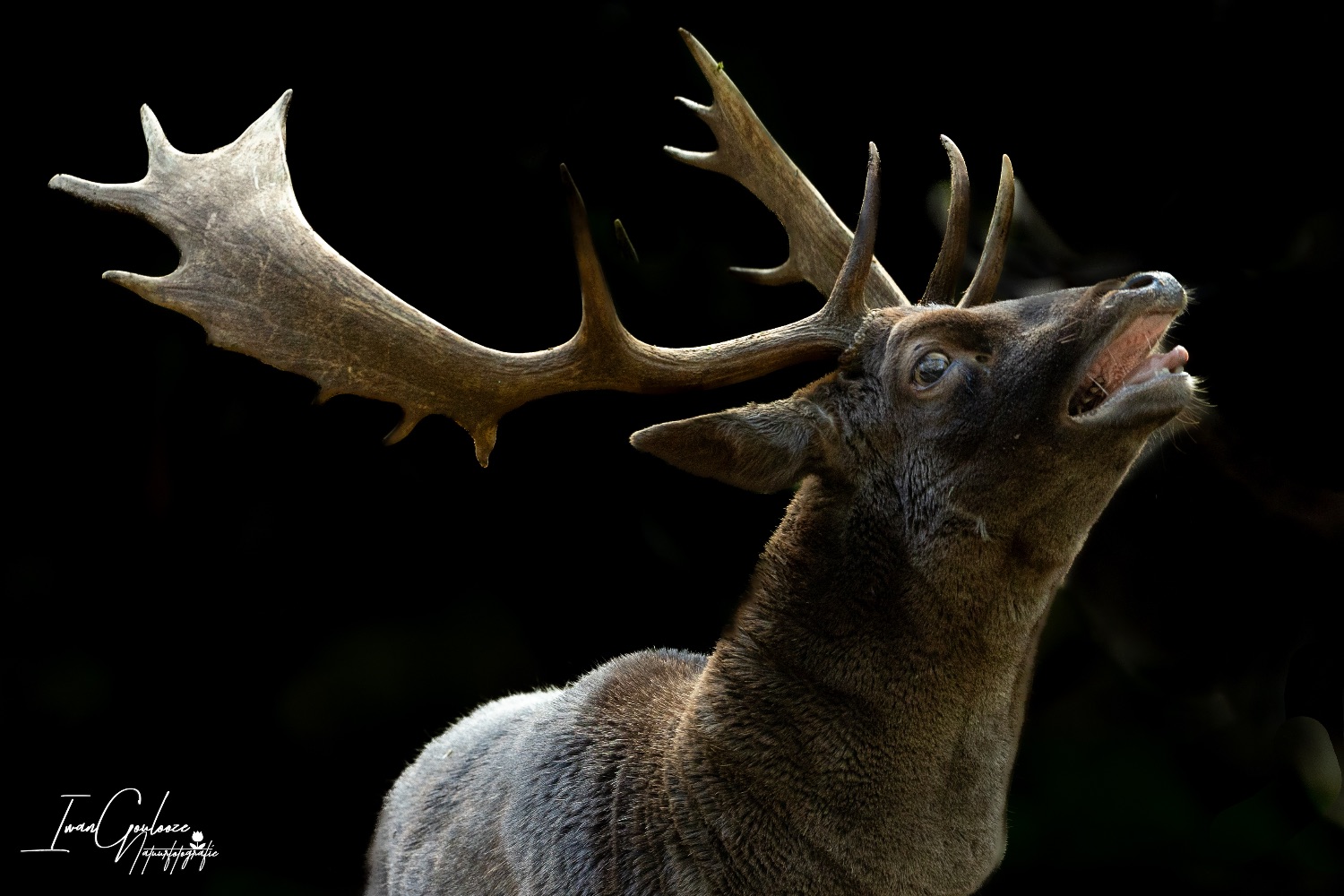 22 oktober 2023 124159  R2A8821